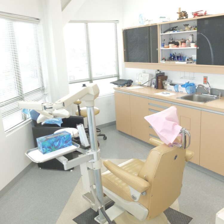 denturist chair